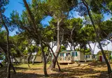 Arena Stoja Camping Homes foto 22