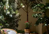 Villa Romantic foto 11