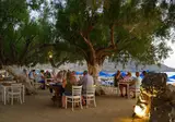 Alianthos Beach foto 6
