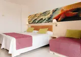 Moon Dreams Coral Beach Hotel foto 10