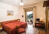 Delle Palme foto 8