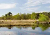 Oostappen Vakantiepark Boschbeek foto 5