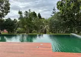 Solar dos Cantos Botanic House and Garden foto 18