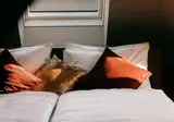 Weltwien Apartments foto 13