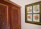 Botanico San Lazzaro foto 22