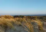 Camping Beachside foto 9