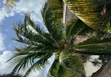 Hotel Kin Ha Tulum foto 22