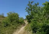Duincamping De Lepelaar foto 9
