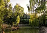 Il Poggio degli Olivi foto 7