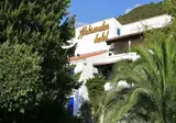 Aleksandar foto 14