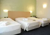 Palace Hotel Zingonia foto 3