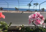 Ferretti foto 18