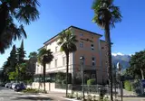Olivo foto 29