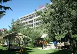 Flamingo foto 25