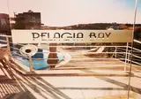 Pelagia Bay foto 29