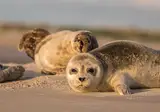 Denemarken en Zweden foto 9