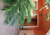 Villa Nefeli foto 7