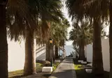 Bungalows Sandos Atlantic Gardens - adults only foto 7