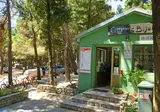 Bijar foto 2