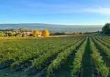 Les Chênes Blancs foto 14