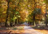 Herberg de Zwaan Elspeet foto 23