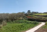 Finca Natura Canaria foto 35