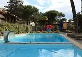 Martini foto 3