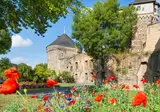 Rijnromantiek naar Rüdesheim met mps Serenade 2 foto 11