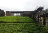 Rainforest Eco Lodge foto 23