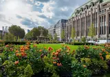 Parels langs de Rijn en Moezel vanaf Rotterdam foto 9
