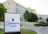 Copthorne Lakeview Hotel Dubai foto 10