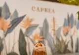 Hotel Caprea foto 21