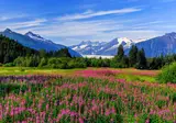 8 dg cruise Alaska MSC Poesia foto 1