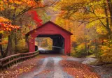 New England Explorer foto 12