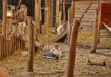 De Leistert foto 4