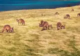 Experience the Less Discovered Parks of Australia foto 2