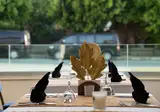 Merve Sun Hotel & Spa foto 21