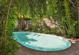 Le Windsor Jungle Art foto 1