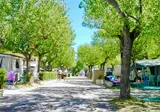 Riccione Easy Camping Village foto 10