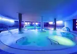 Elba Estepona Gran Hotel & Thalasso Spa foto 1
