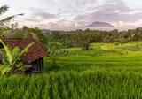 Bali in stijl foto 3