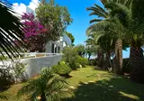Mantenia foto 28