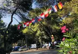 Kozarica foto 7