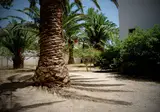Avra Beach foto 30