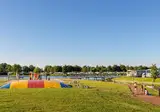 De Vogel foto 3