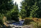 Dein Hotel Braunlage foto 11