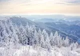 Kerst in het Zwarte Woud, Endingen foto 5