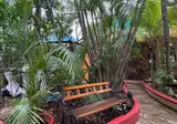 Cocos Cabanas foto 15