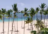 Hyatt Vivid Punta Cana, Adults Only foto 19