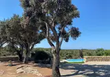 Amagatay Menorca foto 8